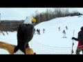 Video Selection