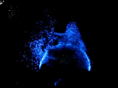 bio luminescence - Bioluminescence Bioluminescent water Dinoflagellates bacteria *UPDATE* I added an update of this video with slow motion at the end to see the full effects. Check it out. http://www.youtube.com/...