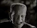 The Universal Monster Family