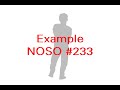 NoSo Poroject Intro