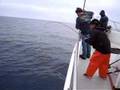 Tuna-Fishing-On-the-