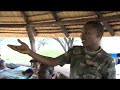 See video