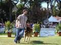 2ª Nacional & 56ª Internacional do Estoril