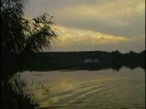 Imagem de Amostra do You Tube