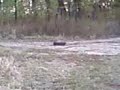 works bomb