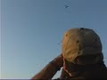 Ver vídeo