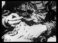 videos de The Sick Kitten (1903)
