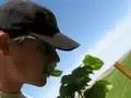 videos de Tasting edible plants