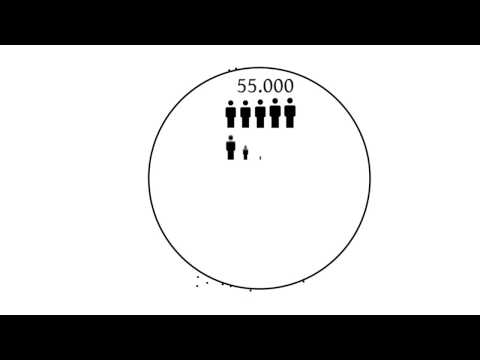 Wahlhilfe: Erst- und Zweitstimme erklärt [Video]