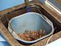 Coffee Roasting Breadmaker and Torch (BMT) 2 of 3