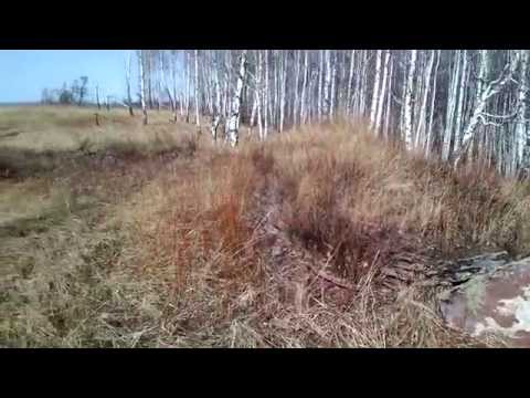 YouTube Трейлер