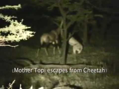 See video