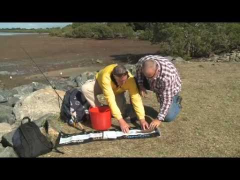 how to measure fish size qld