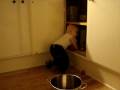 videos de Ludvig i skabet