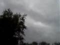 black-flying-snake-U