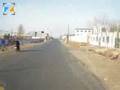 周曙光在沈阳寻访黑蚂蚁养殖户2007-12-02