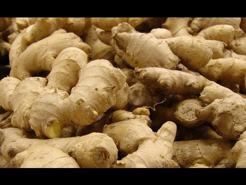 how to harvest ginger plant