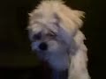Butters music video