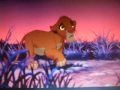 simba fix you simba fix you