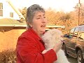 Dog Carried Off By Hawk Dog Carried Off By Hawk