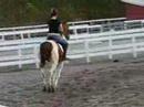 Soldier Cantering