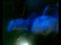 videos de capodanno 2009 4 ever
