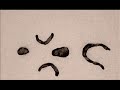 Kung Fu Stop Motion