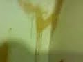 seantallica-does-gross-things-for-tickets.html