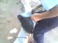 Floreo De Bulto Estropeado!