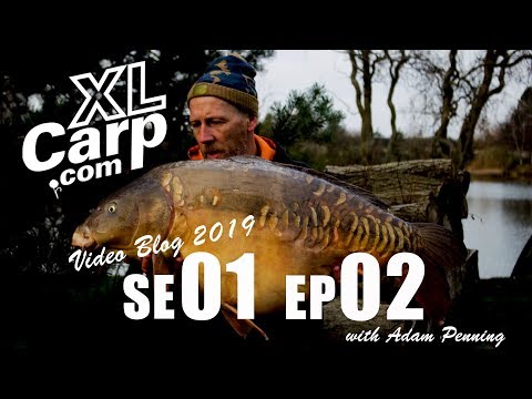 XL Carp Video