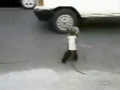 Imagen de previsualización de YouTube