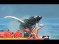 Hayden Panettiere Save The Whales Again!