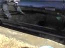 Optimum No-Rinse ONR on 1999 Mustang Cobra Optimum No-Rinse ONR on 1999 Mustang Cobra
