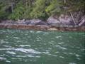 Desolation Sound BC Slideshow