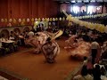 Las Alazanas bailable de Jalisco Las Alazanas bailable de Jalisco