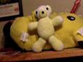 Yellow Bear Skydives!!!!!!!!