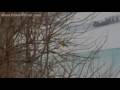 Click here to watch this video TTR Intelligent Design Practice Day 2009 - Sebastian Tout...