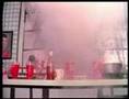 The Residents - songs for swinging larvae