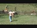 videos de almirante JF Eder  solto