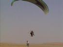 Shehap Saudi Lemming