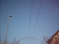 una ripresa da un filosnodato in servizio sulla linea 6 : inizia da viale Sigonio per poi proseguire lungo viale Buon Pastore, che attraversa il quartiere omonimo.Notare le mensole tipo 