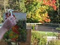 A Plein Air Painting Demo - October Trees