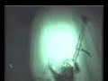 Two_EM at illegal Tunnel Rave 2002