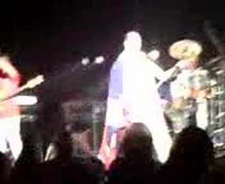 elladacat - Queen Tribute.