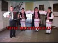 Titel-Brestovicean-B