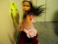 Crump Dat Up Raylin Crump Dat Up Raylin