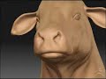 zbrush speed animal