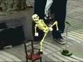 Skelton