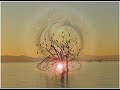 TRANCE VISIONS- Thomas Datt- 2v2 (Redstar Remix)