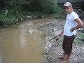 Zoki peca Ribe Zoki peca Ribe